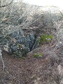 Карстовая воронка