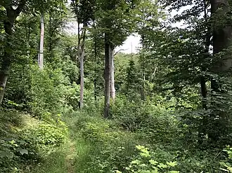 Нуждающийся в охране биотопв коммуне Оденталь (поселение Штайн)