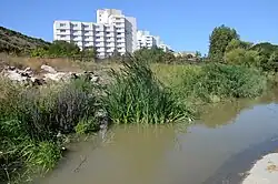 Вид на нижнее течение реки Сукко около устья летом 2023 года