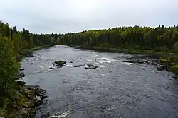 Река Водла близ посёлка Водла в Пудожском районе Карелии осенью 2023 года