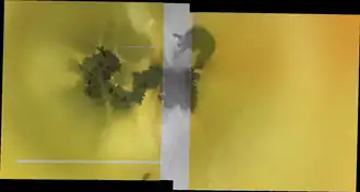 Цветная мозаика вулкана Прометей и его шлейфы от извержения, сфотографированная космическим зондом Галилео. Prometheus Patera — темная область в форме почки в правом верхнем углу; источник выбросов магмы находится в узком «перешейке» прямо под ним. От последнего западное поле потока тянется влево, при этом большая часть шлейфов SO2 извергается с окраин потока на левом конце.