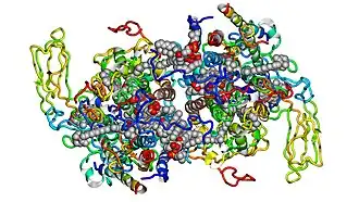 Цит. b6f, вид снизу.