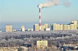 Вид на парк «Горкинско-Ометьевский лес» со стороны Горок (декабрь 2019)