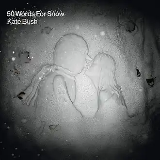 Обложка альбома Кейт Буш «50 Words for Snow» (2011)