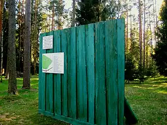 Фрагмент старого забора