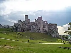 Замок в Оргодзенце, владение Варшицкого с 1669 года