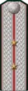 Военный чиновник 12-го класса — губернский секретарь (погон образца 1897–1917 годов)