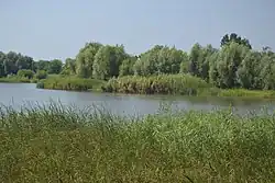 река в Савковском заказнике