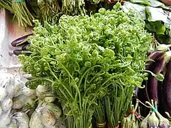 Молодые рахисы на рынке, Филиппины