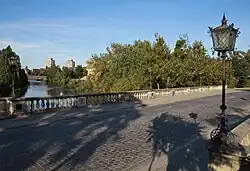 Общий вид моста