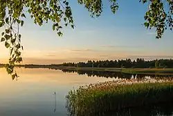 пруд Черемошное