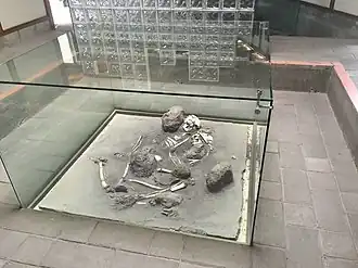 Парное погребение из культура Лас-Вегас