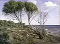 Приморский пейзаж (ок. 1880 года)