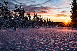 На горе Калер-Астен.