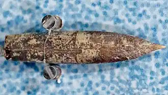 Окаменелый ростр Actinocamax plenus