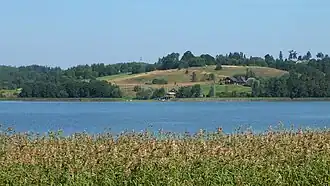 Вид на восточную часть озера Адамовас с южного берега летом 2015 года