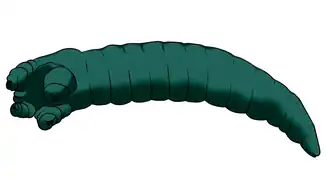 Реконструкция