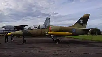 Aero L-39C Albatros ВВС Литвы, Каунасский музей Авиации