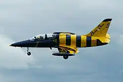 «Baltic Bees (Балтийские пчёлы)» на Ульяновском авиасалоне МАТФ-2012.