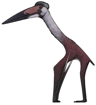 Реконструкция