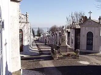 Аллея кладбища