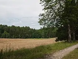 Поля вблизи Альроде