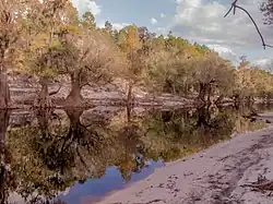Река Сувонни вблизи Лейк-Сити[англ.]