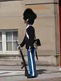 Королевский караул у дворца Амалиенборг, Копенгаген.