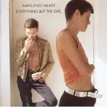 Обложка альбома Everything but the Girl «Amplified Heart» (1994)