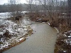 Вид на нижнее течение реки с моста около Калнмуйжи в ноябре 2002 года