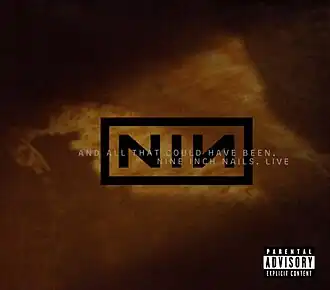 Обложка альбома Nine Inch Nails «And All That Could Have Been» (2002)