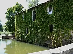 Водяная мельница Тайпети