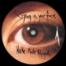 Обложка альбома AFX «Analord 4» ()