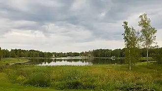 Вид на озеро Арби летом 2020 года