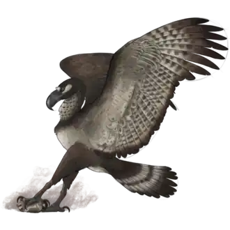 Реконструкция аргентависа