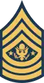 Sergeant Major of the Army