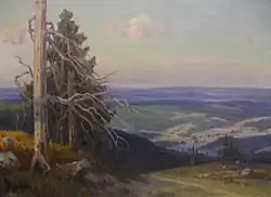 Blick vom Feldberg im Schwarzwald (1910)
