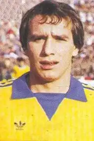 Цикляну в 1980-х годах