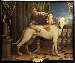 Собака Ролдано. 1597-1604. Вилла дель Принчипе, Генуя