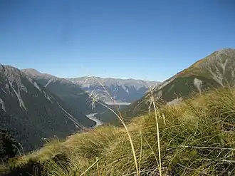 Альпийские луга близ Аваланш-пика[англ.]