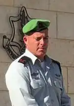 бригадный генерал Ави Розенфельд