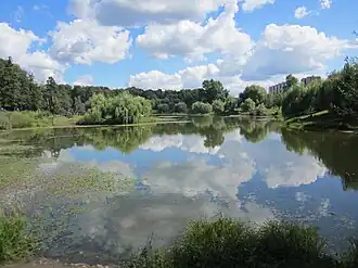 Бабаевский пруд в 2013 году