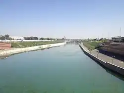 Бадам в городе Шымкент