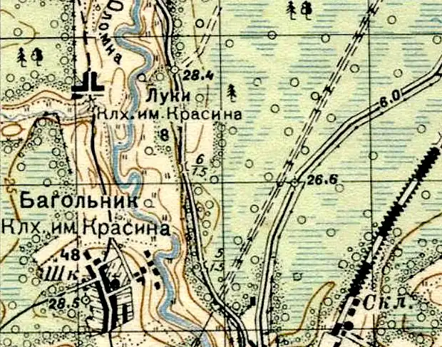 План деревни Багольник. 1937 год