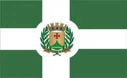 Флаг Санту-Антониу-да-Алегрия