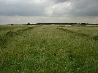 Следы нефа аббатства Бардни, где похоронена Острит