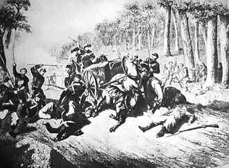 Бой под Жиржином.