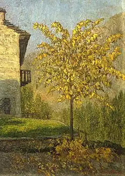 Липа в Малеско