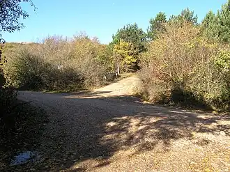 Перевал Бечку