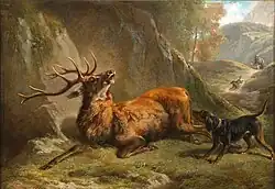 Загнанный олень